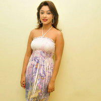 Payal Ghosh Latest Hot Photo Shoot Stills | Picture 104403